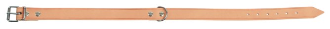 Halsband MEXICA, Umfang: 29-37 cm, Breite: 16 mm, Farbe: schwarz, genietet, Rollschnalle
